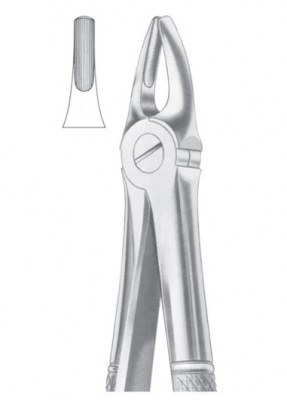 Fig.2 Upper Laterals & Canines 